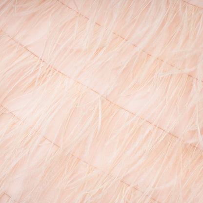Katarina featherdetail tassel dress
