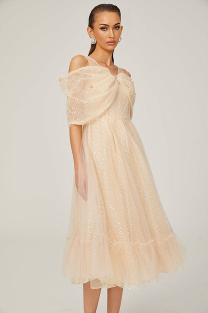 Danielle sequined tulle midi dress