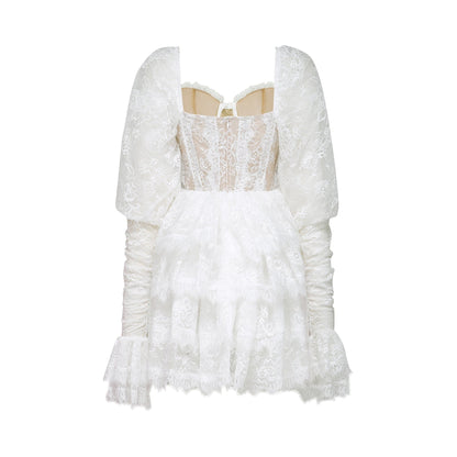 Nadine semisheer lacetrim mini dress