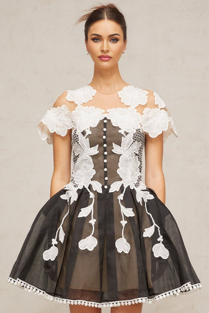 A short sleeveless dress with colorblocked sections and floral embroidery details featuring a mini length and feminine silhouette