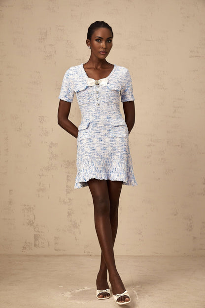 Heres a simple alt text for the product image based on the title

Young woman wearing Eloise blue checked knit mini dress standing casually